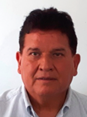 Consultor