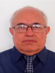 Consultor
